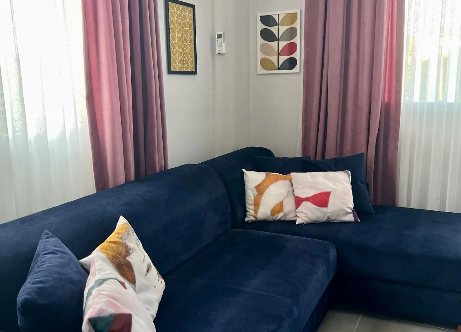 Bisuite Urla Kuscular